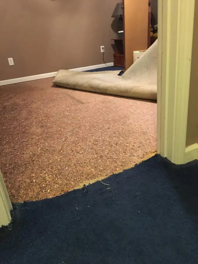 Carpet pad removal revealing water damage during Drying & Dehumidification in Stratford