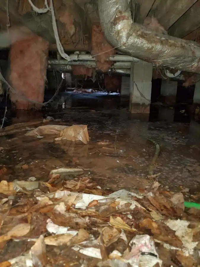 Crawl space flood assessment for Leak Detection & Repair in Stratford